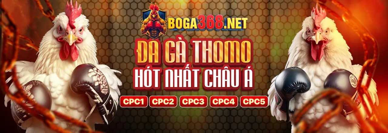 Tải ứng dụng b52 đổi thưởng online