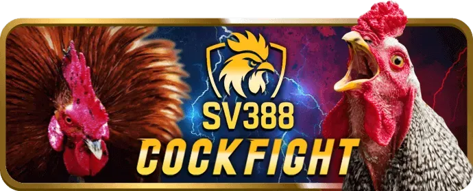 Thưởng Sinh Nhật & Sự Kiện Đặc Biệt